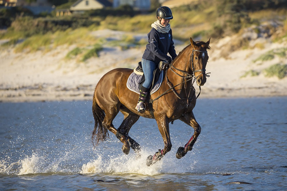 Protective foam padding for horses